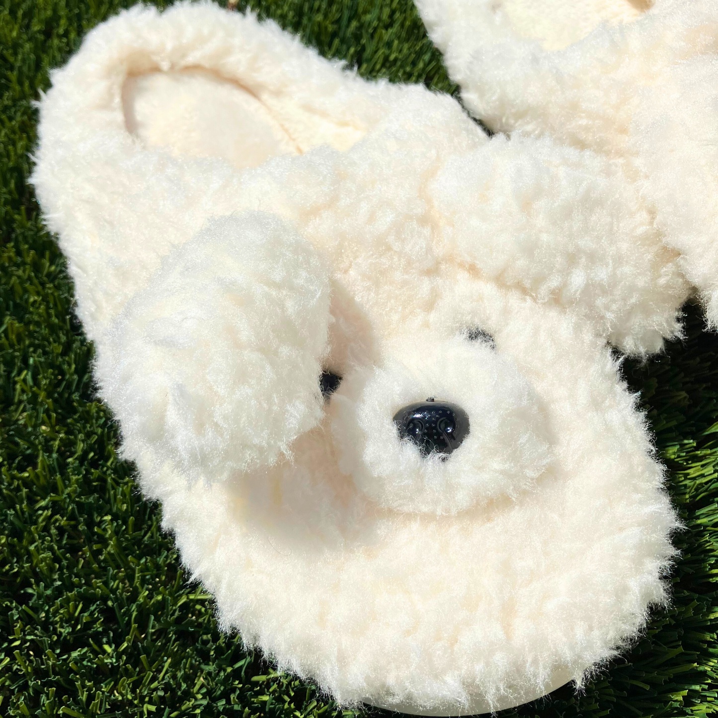 Save Puppies with the Rosco Slippers 🐶