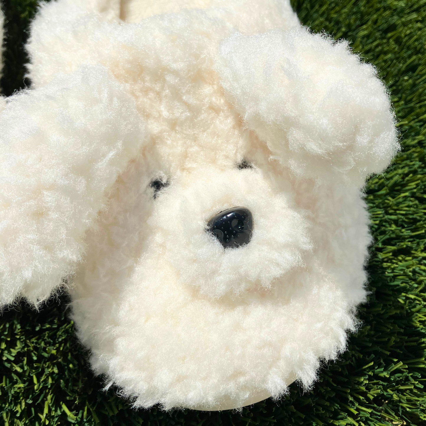 Save Puppies with the Rosco Slippers 🐶
